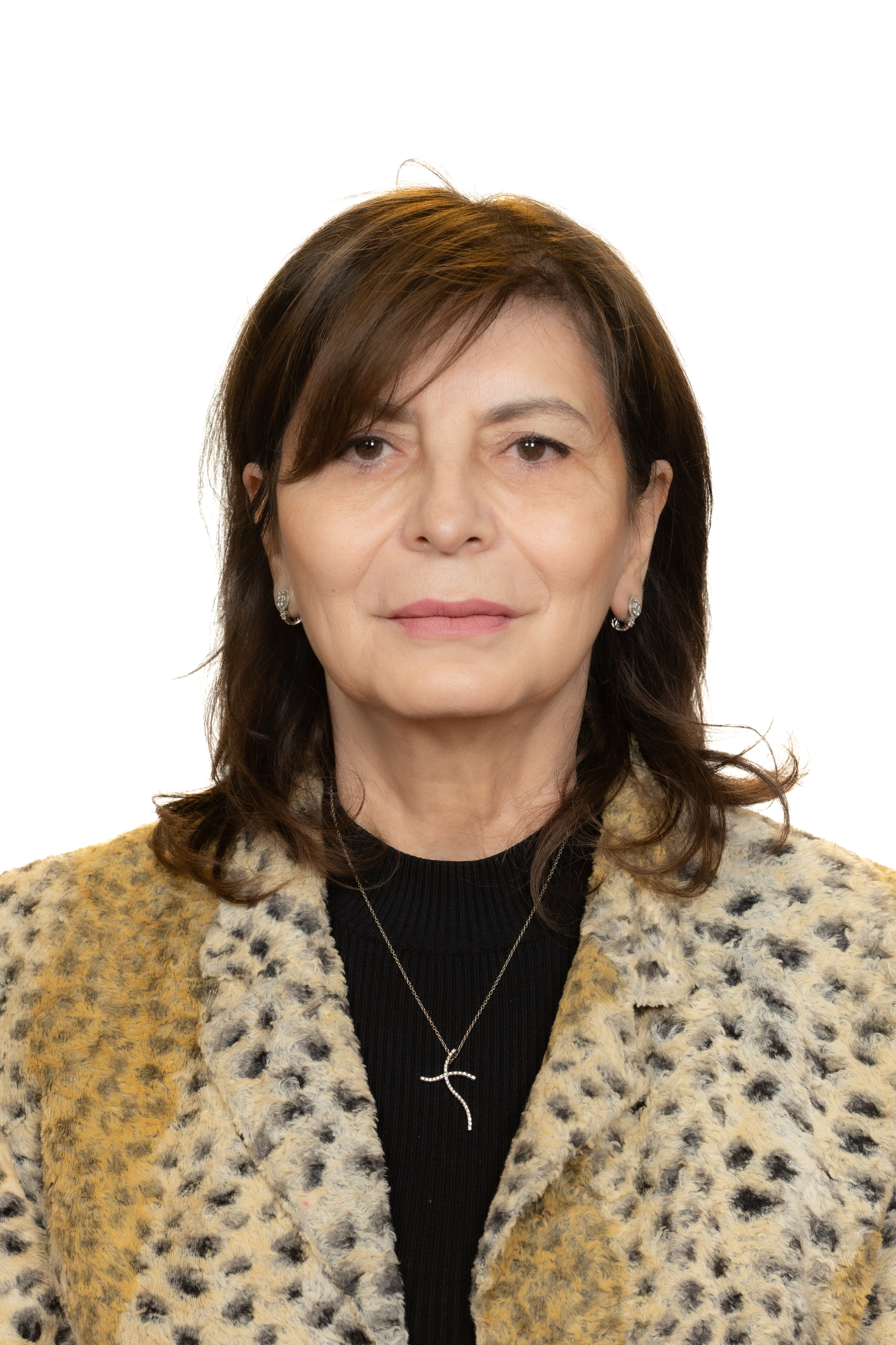 Ștefănescu Daniela